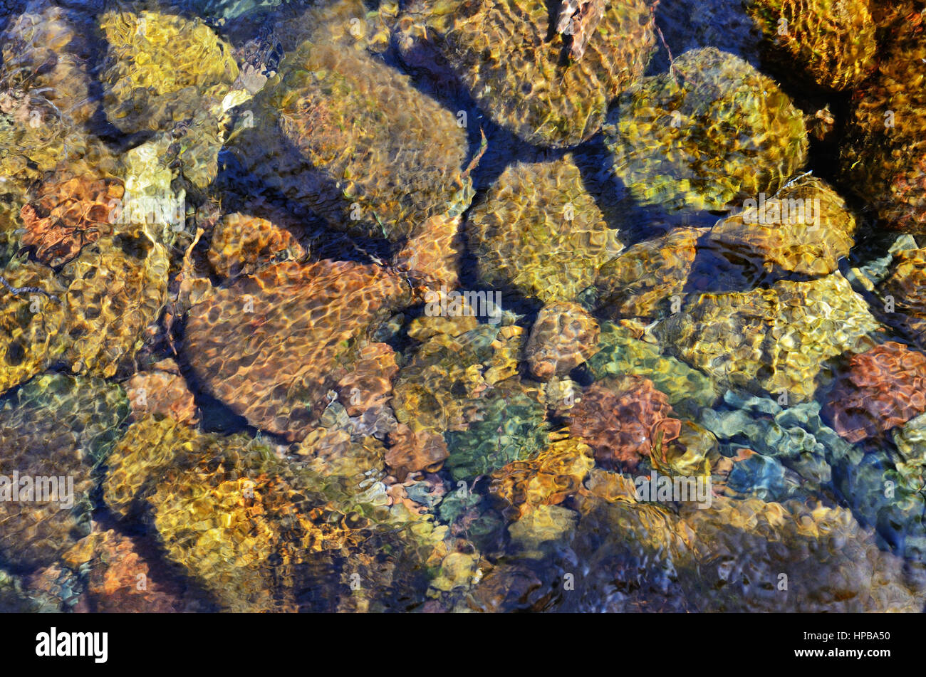 Close-up of the stones through clear water flowing Stock Photo