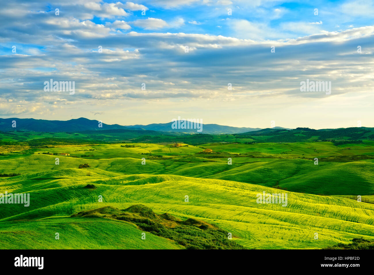 Tuscany, rural sunset landscape. Countryside farm, cypresses trees, green field, sun light and cloud. Volterra, Italy, Europe. Stock Photo