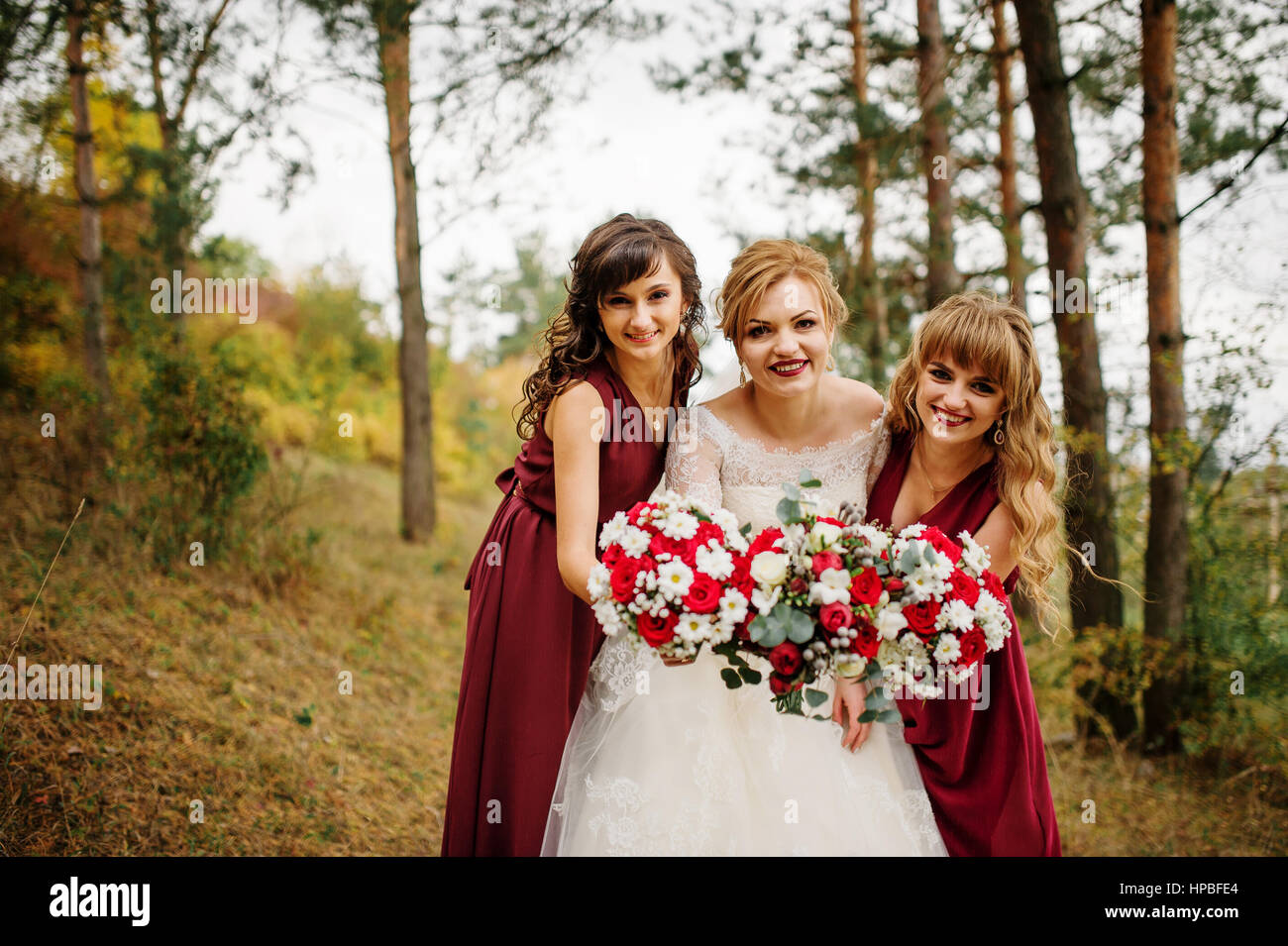 Bride with bridesmaids on red dresses at autumn pine wood Stock Photo ...