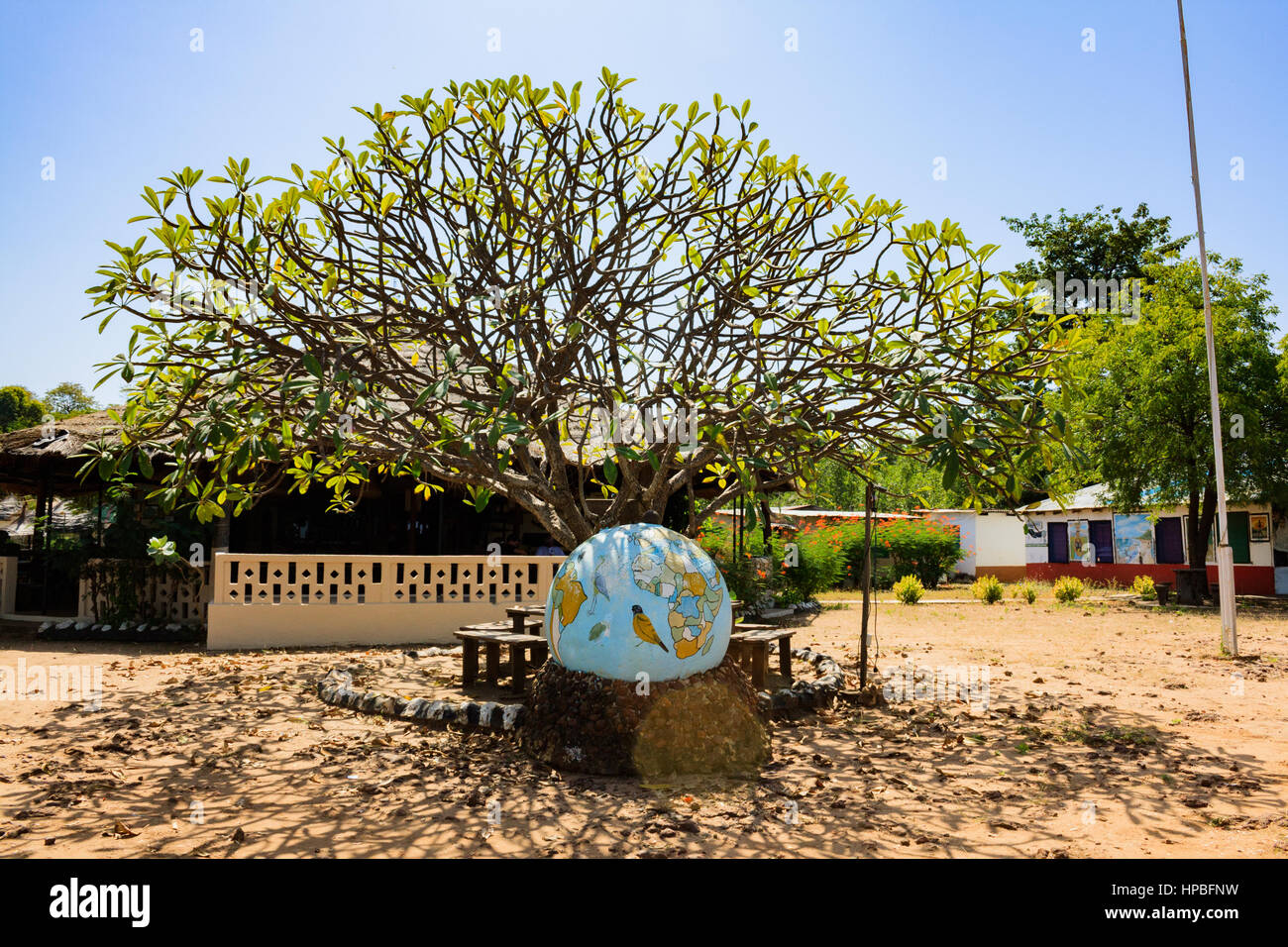 Temple tree at Tendaba Camp on the River Gambia Stock Photo