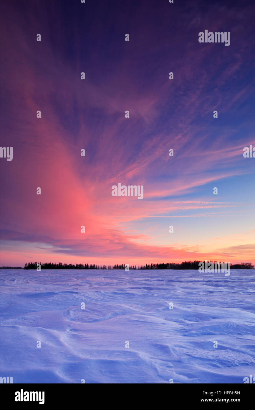 Winter sunset on snow covered fields in Manitoba, Canada Stock Photo