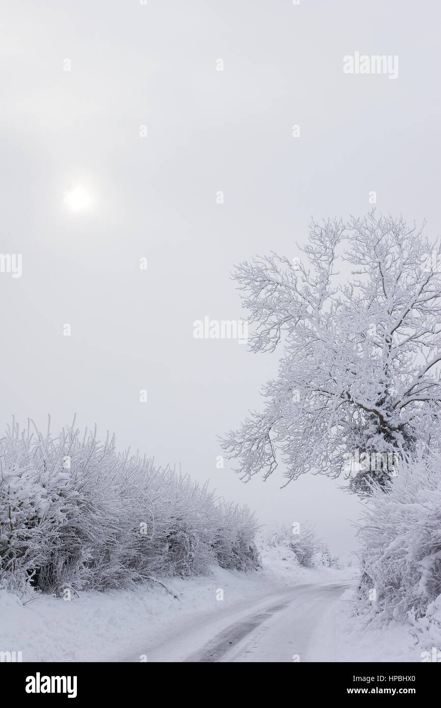 Hampshire snow scenes uk hires stock photography and images Alamy