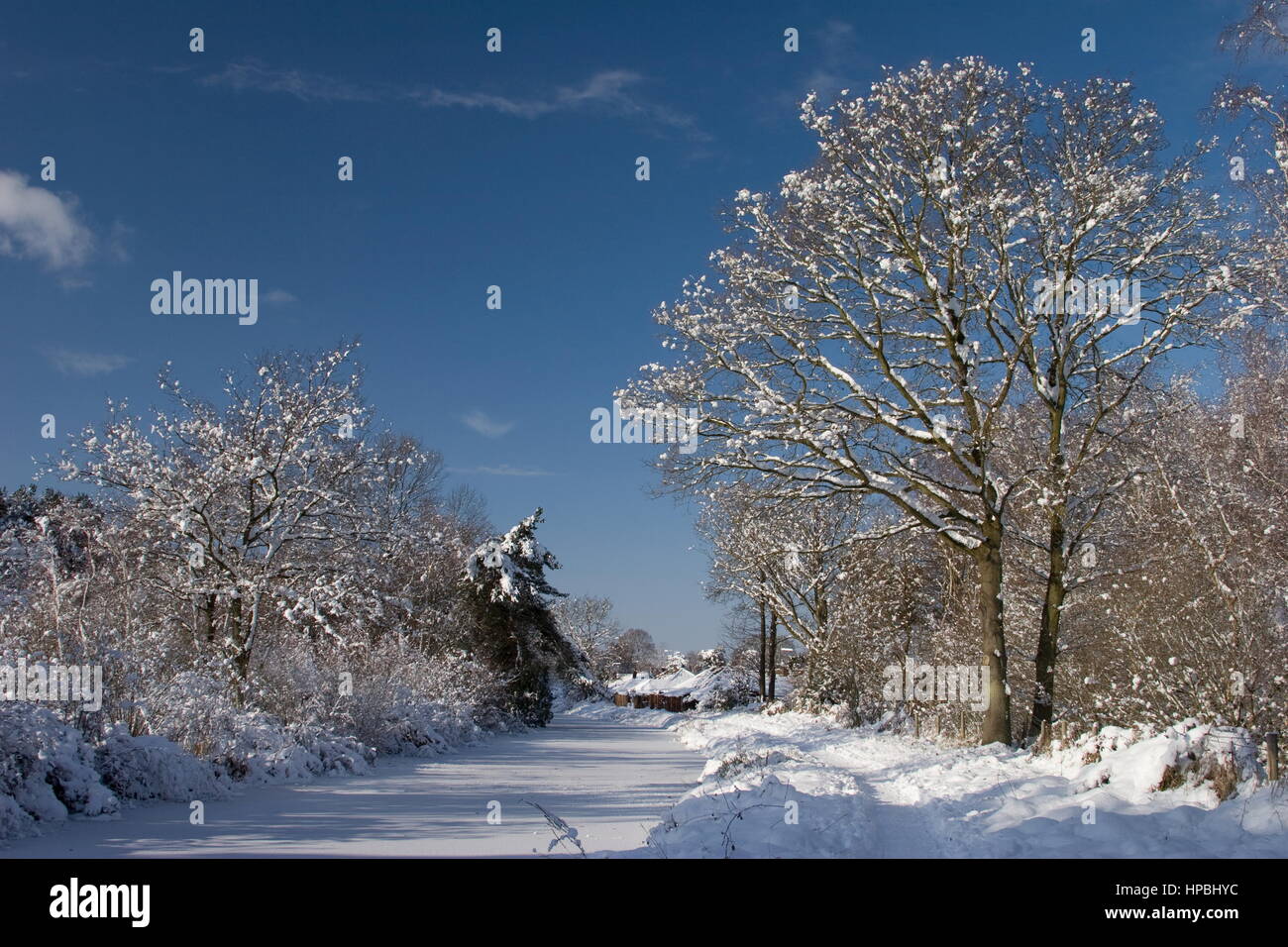 Basingstoke Canal frozen and in snow Fleet,Hampshire Stock Photo - Alamy