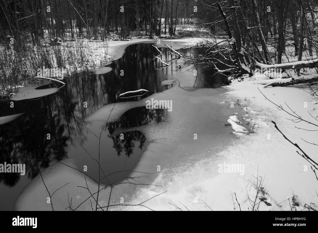 Black and white winter landscape and nature. Scandinavia Sweden Europe