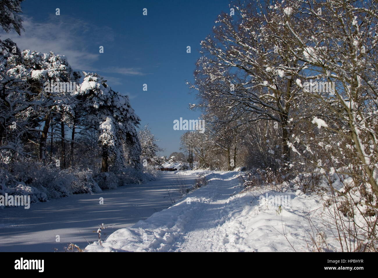 Basingstoke Canal frozen and in snow Fleet,Hampshire. Stock Photo