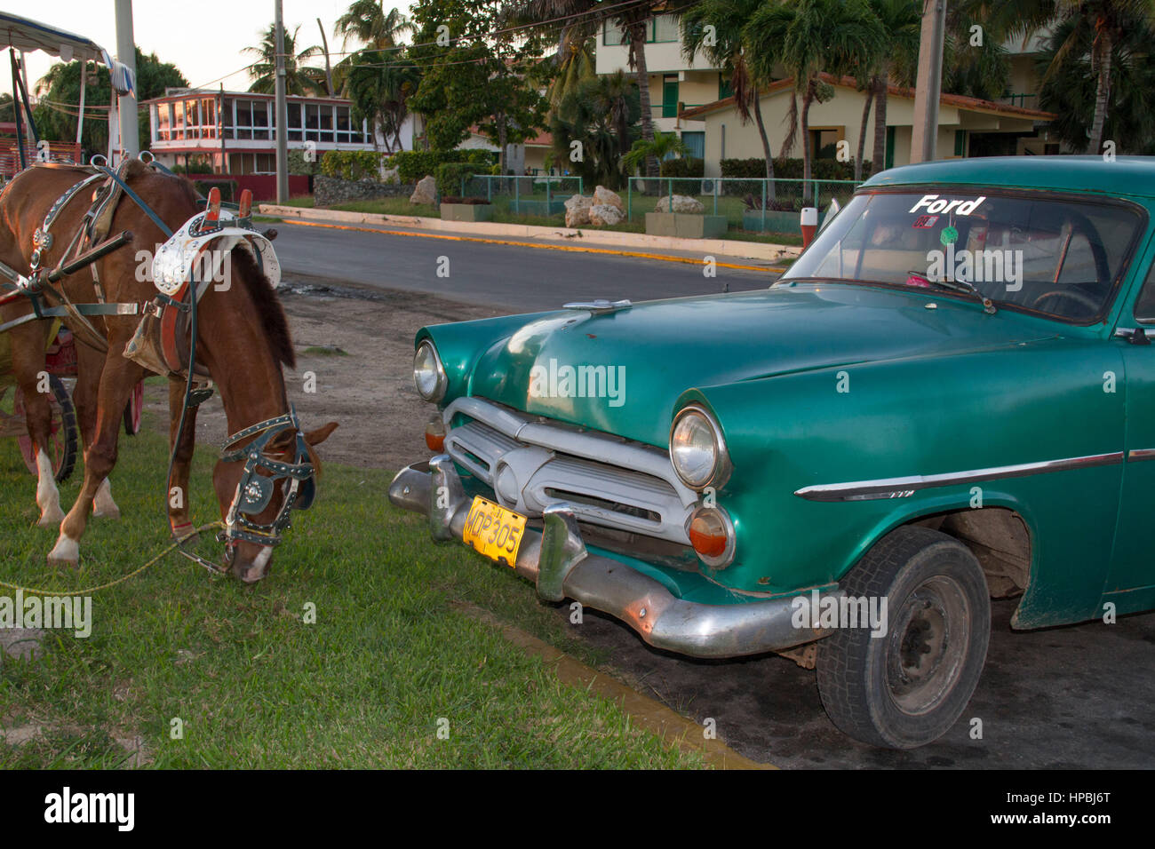 Ford Oldtimer, horse, Varadero, Cuba, Kuba Stock Photo