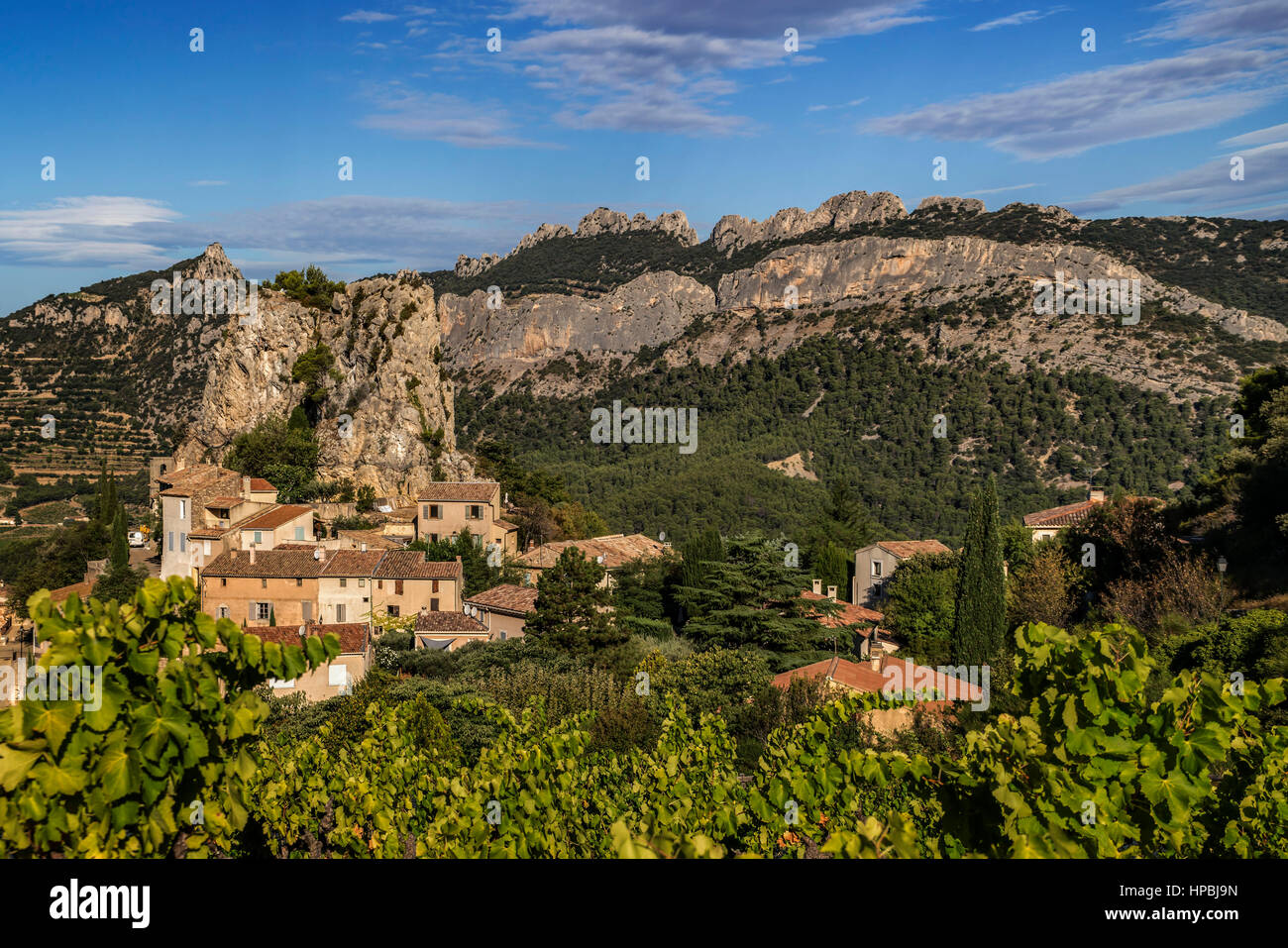 Viniculture, La Roque Alric, Montmirail Lace, Vaucluse, France, Europe Stock Photo