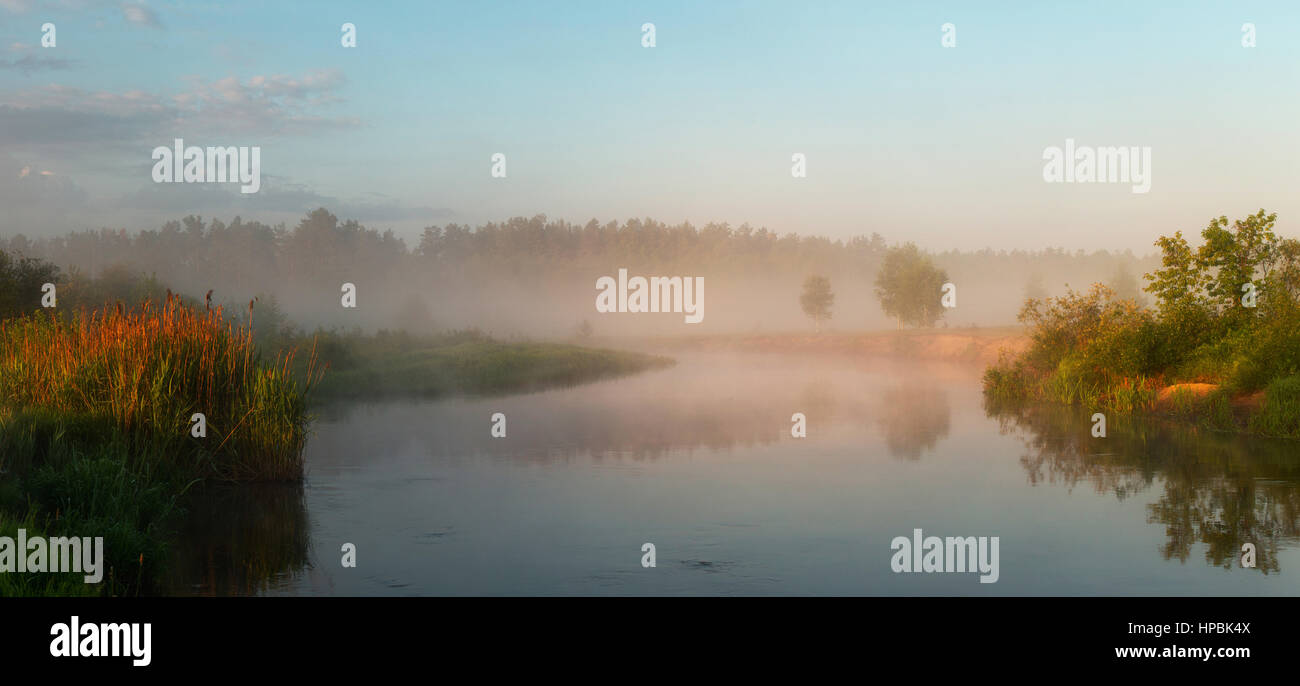 Autumn misty morning on the lake with golden lighten gog Stock Photo
