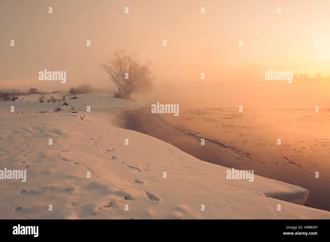 The sun shines on frosty winter trees through fog Stock Photo