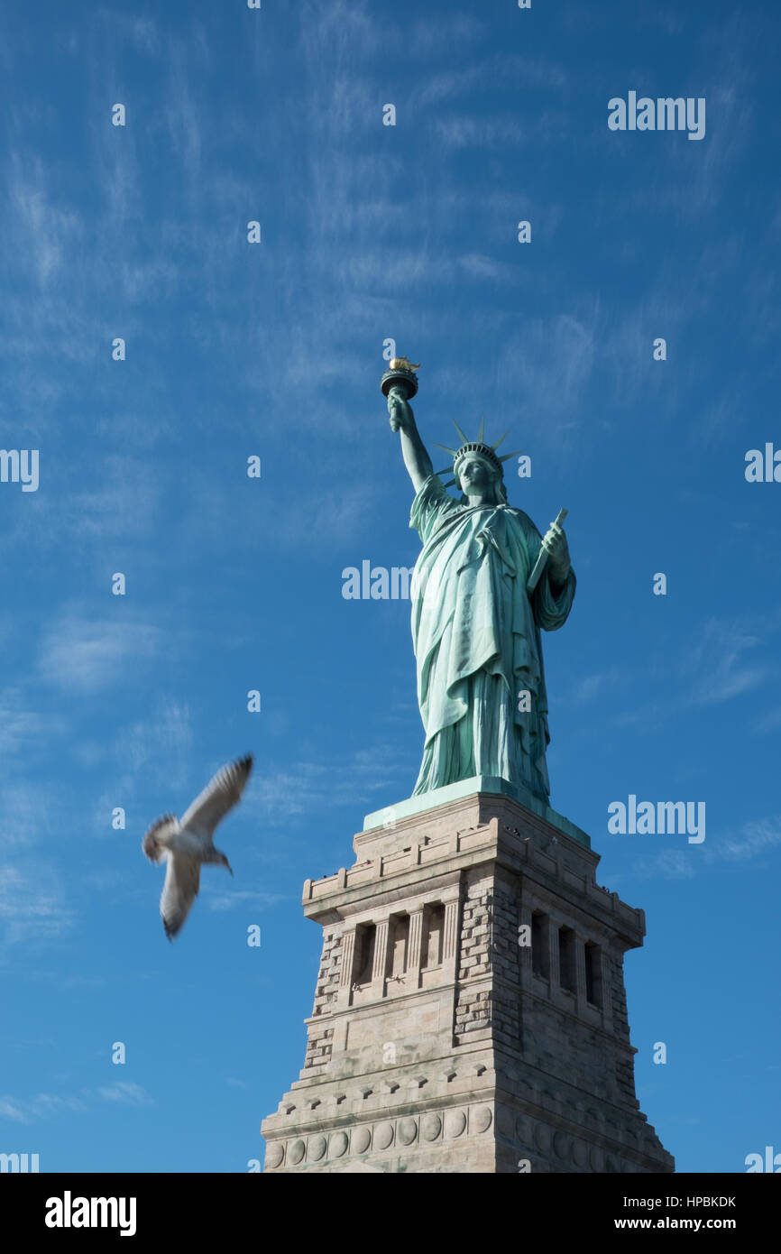 Bird Flies Near The Statue Of Liberty Isolated On Her Pedestal