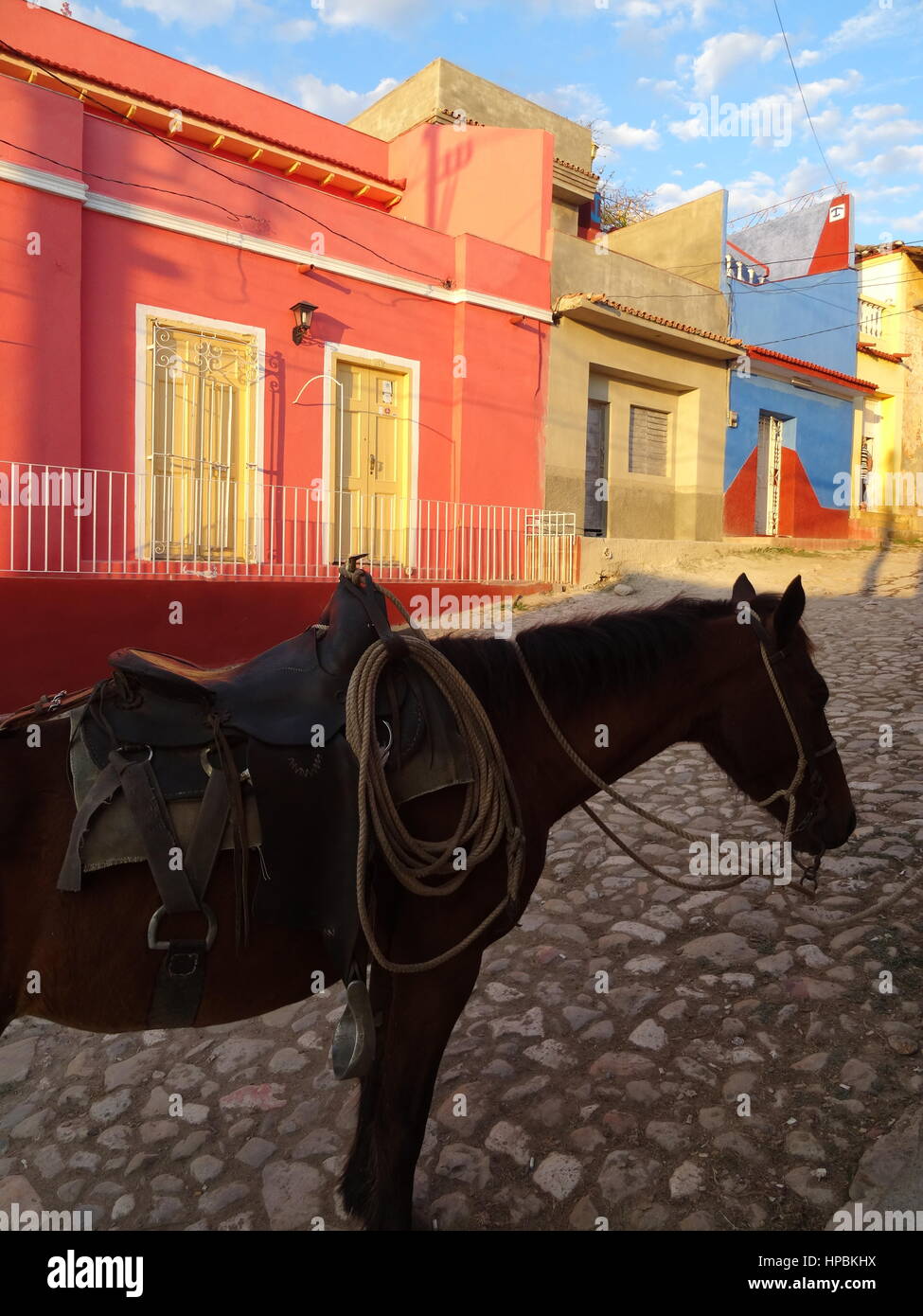 Horse with saddle on a cobbled street in Trinidad,Cuba with colourful houses in the background and bright sunlight Stock Photo