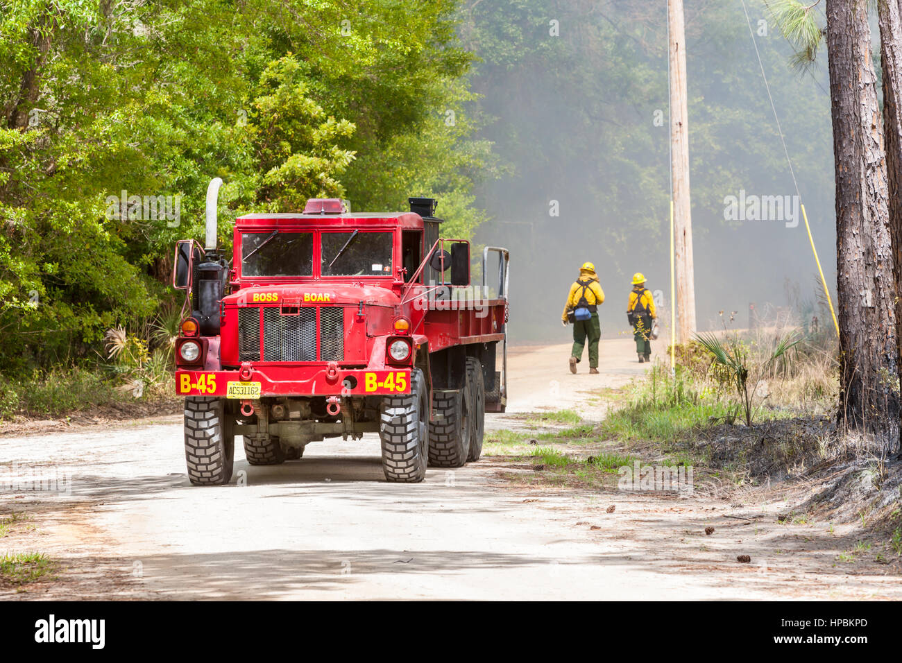 Florida Park Service staff execute a prescribed burn in the pine flatwoods of Highlands Hammock State Park in Sebring, Florida. Stock Photo
