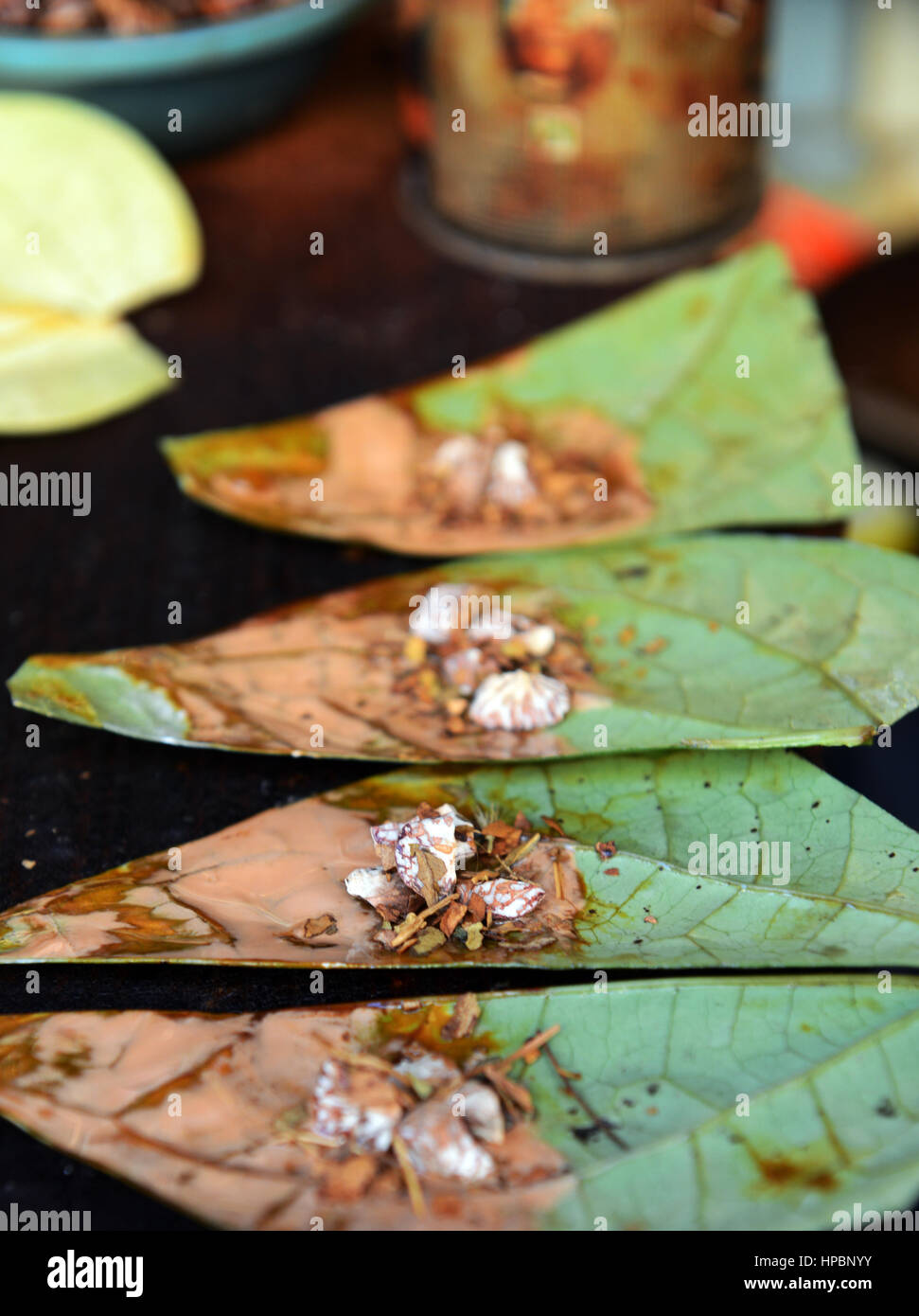 Preparation of Paan- An Asian / South Asian chewing stimulative made out of a Betel leaf with crushed Areca nut and spices inside. Stock Photo