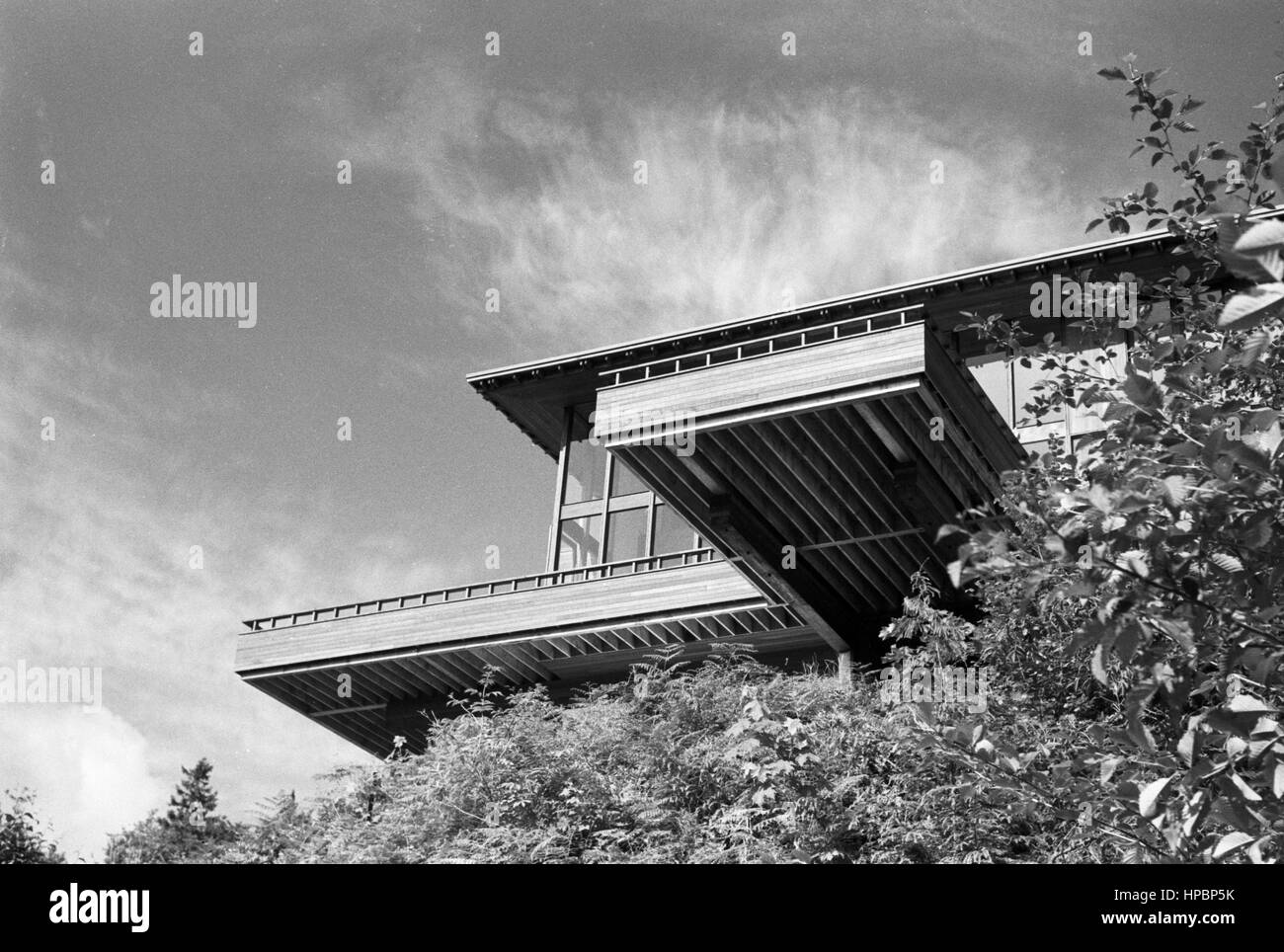 Detail of a house designed by Architect Ralph Anderson, for the Ferguson family 1961 Stock Photo