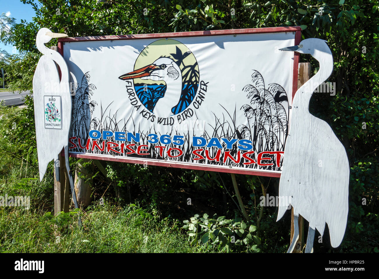 Florida Key Largo,Upper Florida Keys,Florida Keys Wild Bird Center