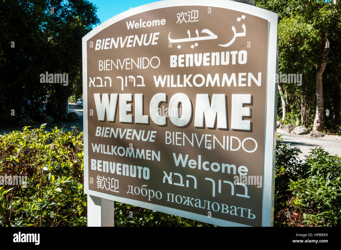 Retro Bienvenidos Spanish Welcome Sign, Bienvenidos Signs, Bienvenidos  Spanish Old World Welcome Sign, Spanish Sign Decor, Spanish Decor, Welcome  4 x 18 inch Metal Tin Sign. : : Home & Kitchen