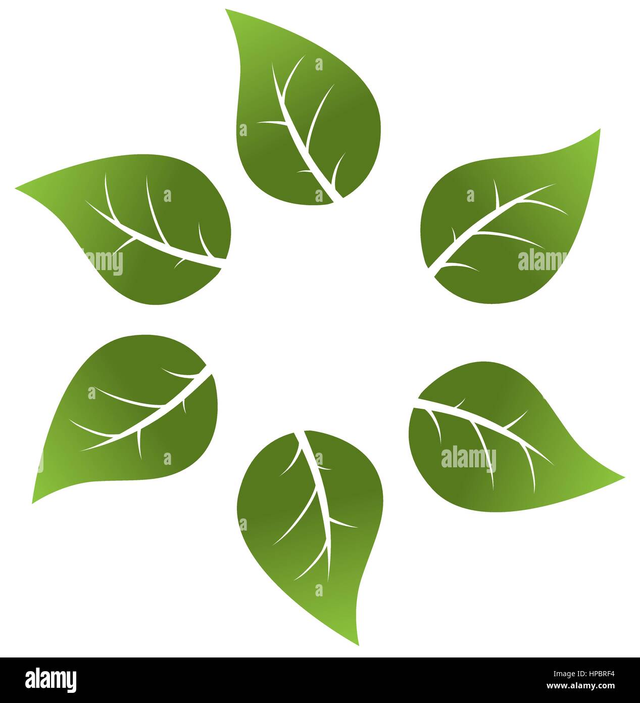 leafs plant ecology symbol vector illustration design Stock Vector ...