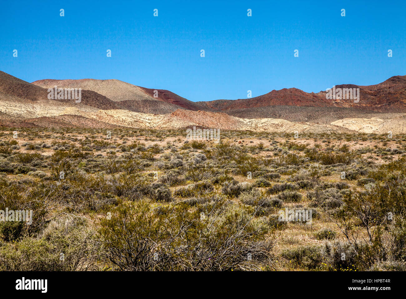 Plain field, Death Valley National Park, California, USA Stock Photo