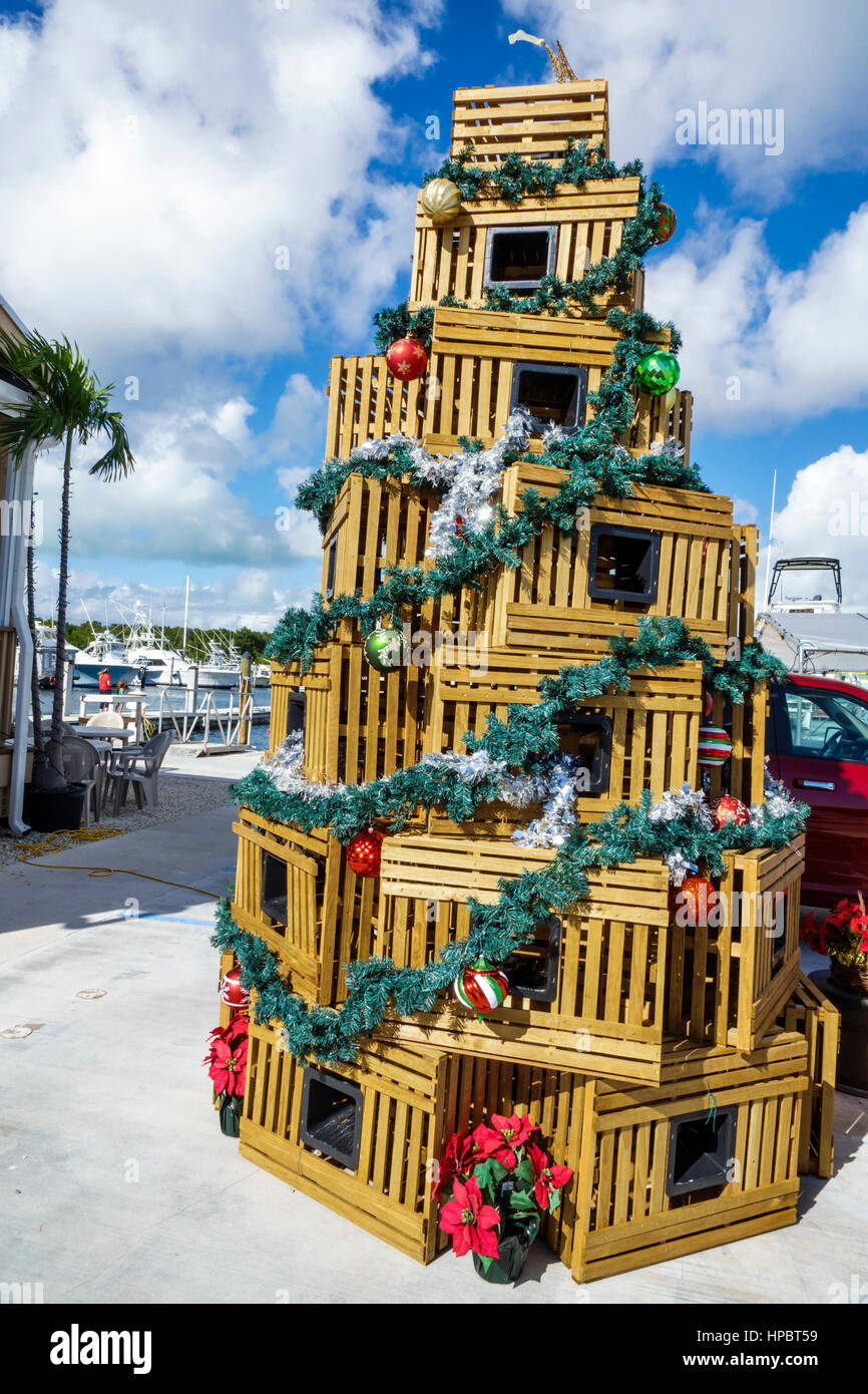 Florida Upper Key Largo Florida Keys,Key Largo Fisheries Backyard