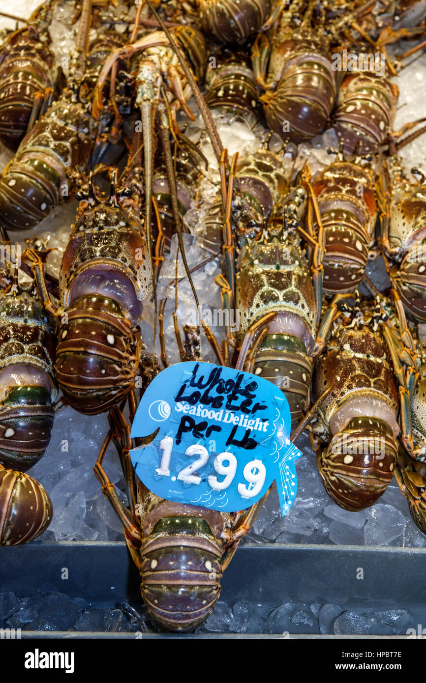 Florida Upper Key Largo Florida Keys,Key Largo Fisheries Backyard