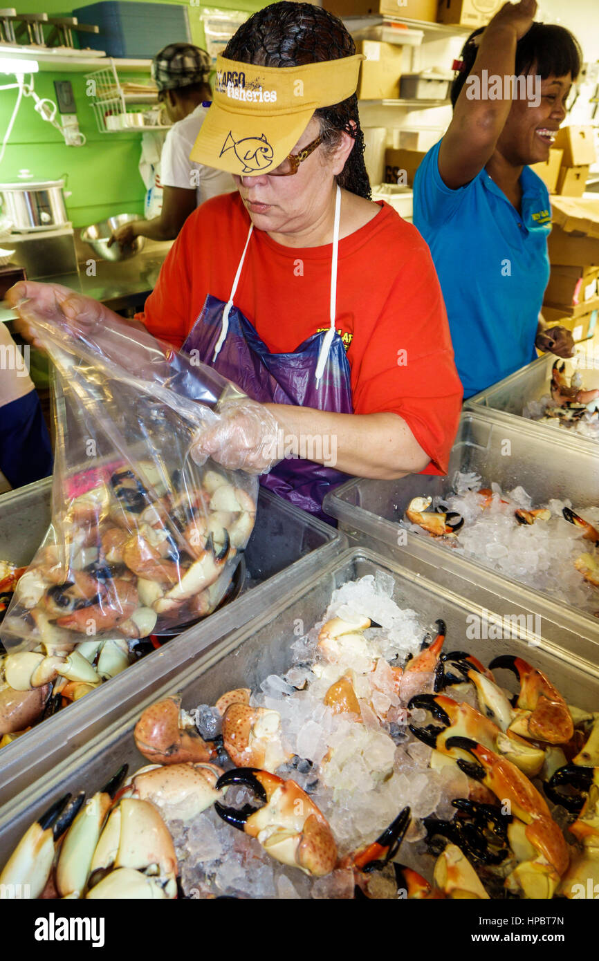 Florida Upper Key Largo Florida Keys,Key Largo Fisheries Backyard