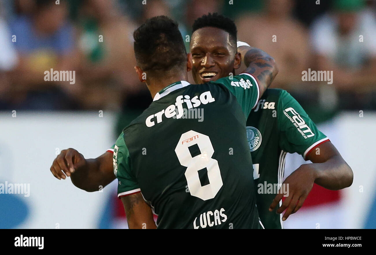 Lucas barrios palmeiras hi-res stock photography and images - Alamy