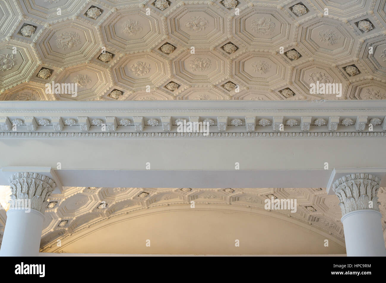 patterns on a white ceiling molding indoors Stock Photo