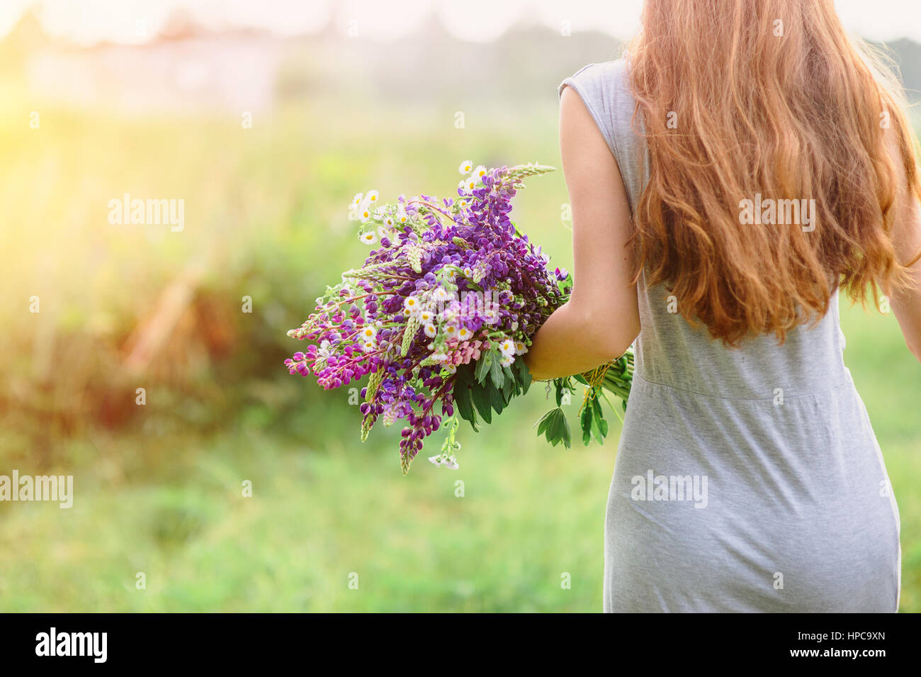 woman with a bouquet of lupine flowers on a sunny summer day Stock Photo
