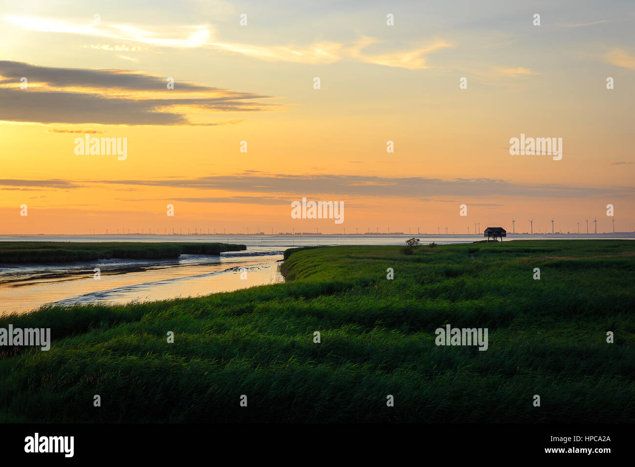 A wooden house for birdwatching on the border of Germany and Netherlands near Nieuwe Statenzijl Stock Photo