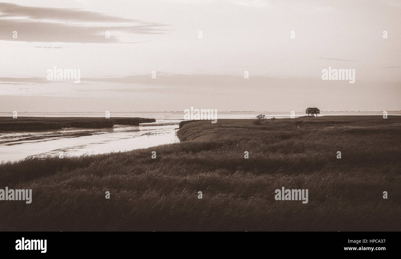 A wooden house for birdwatching on the border of Germany and Netherlands near Nieuwe Statenzijl Stock Photo