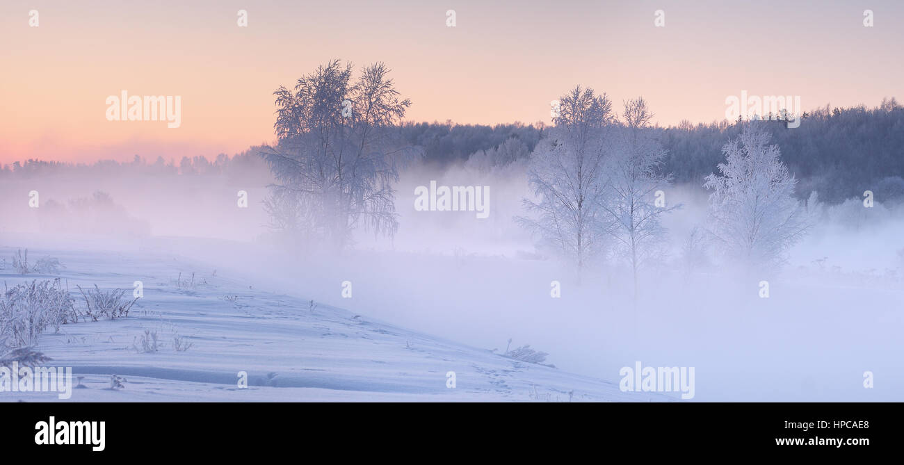 Fog in winter morning. Christmas winter dawn. White frosty trees in mist. Stock Photo