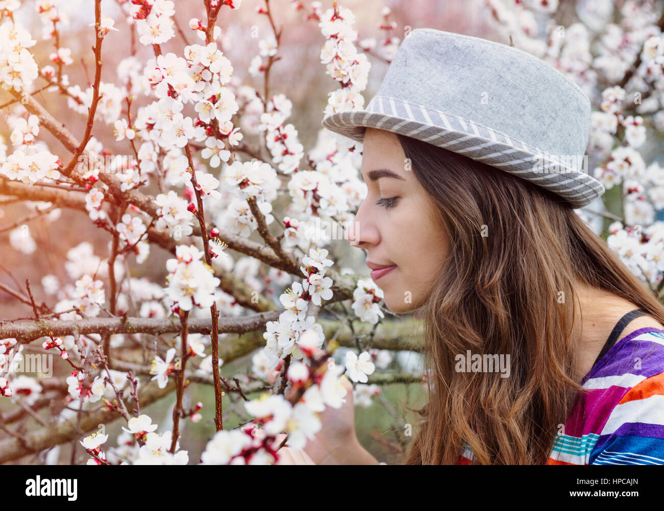 Young woman smelling the cherry blossom Stock Photo
