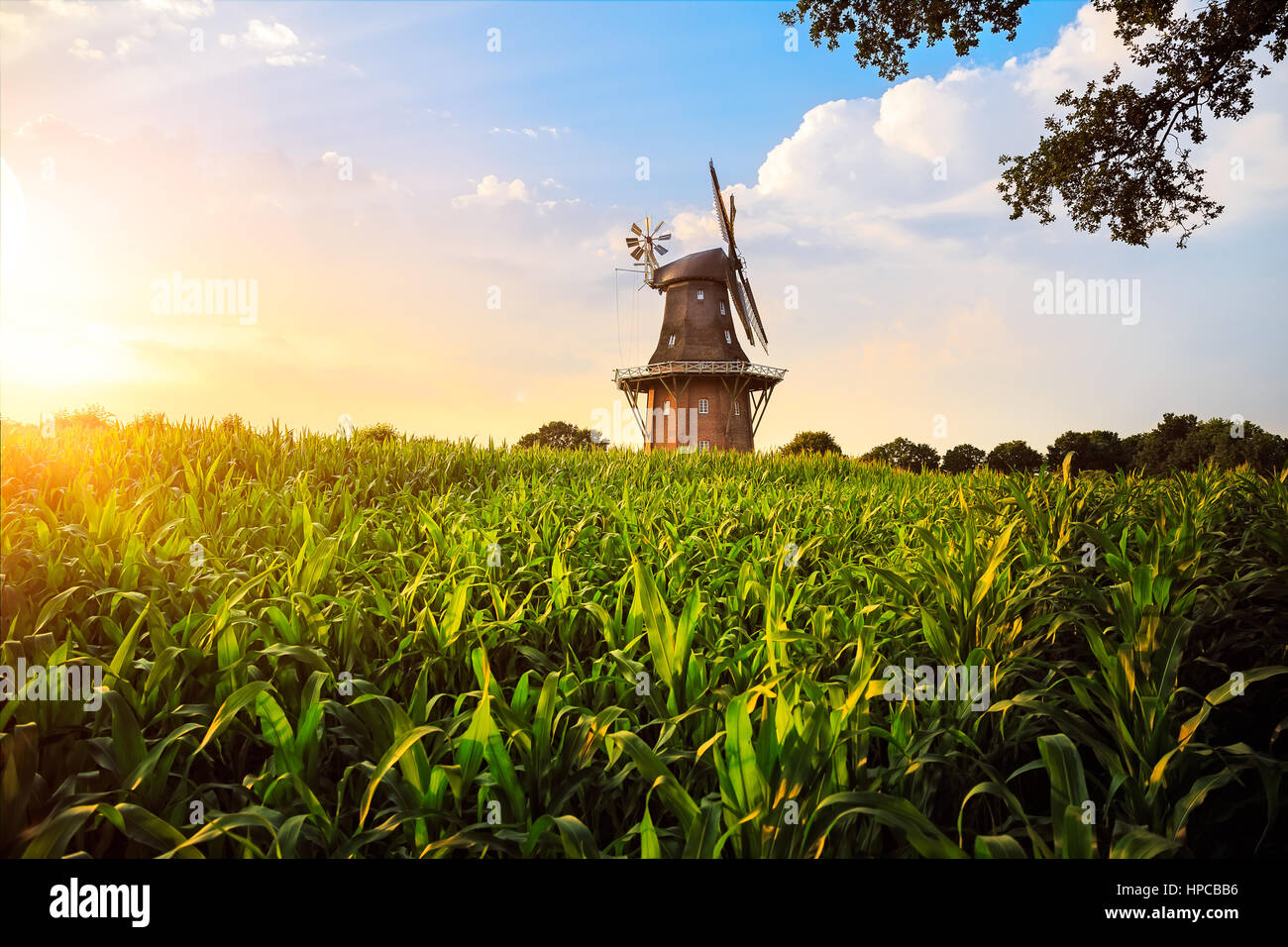 The Holtlander mill in Holtland near Hesel, East Frisia Stock Photo