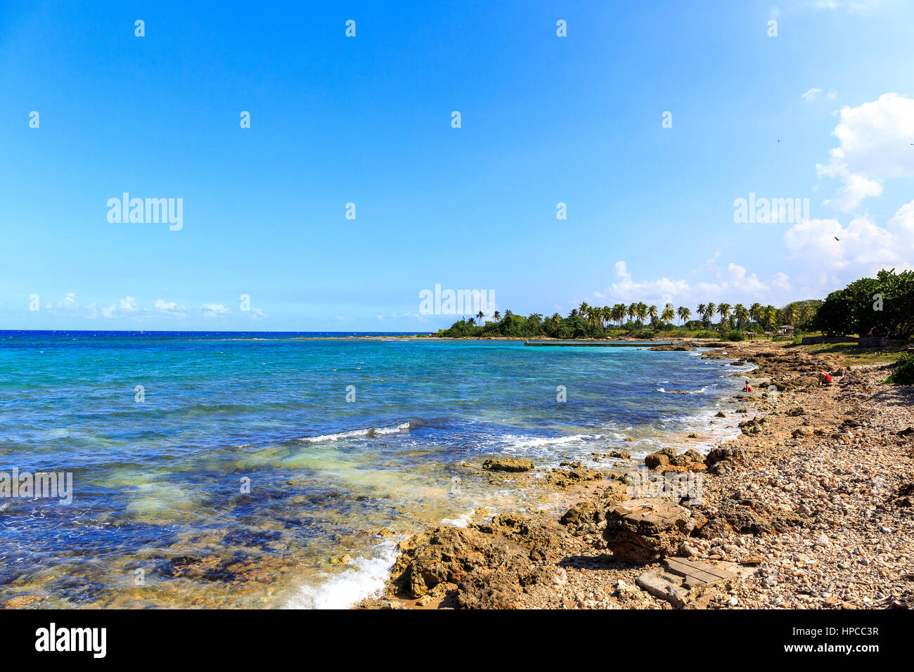 Cuba is the largest island in the Caribbean, with an area of 109,884