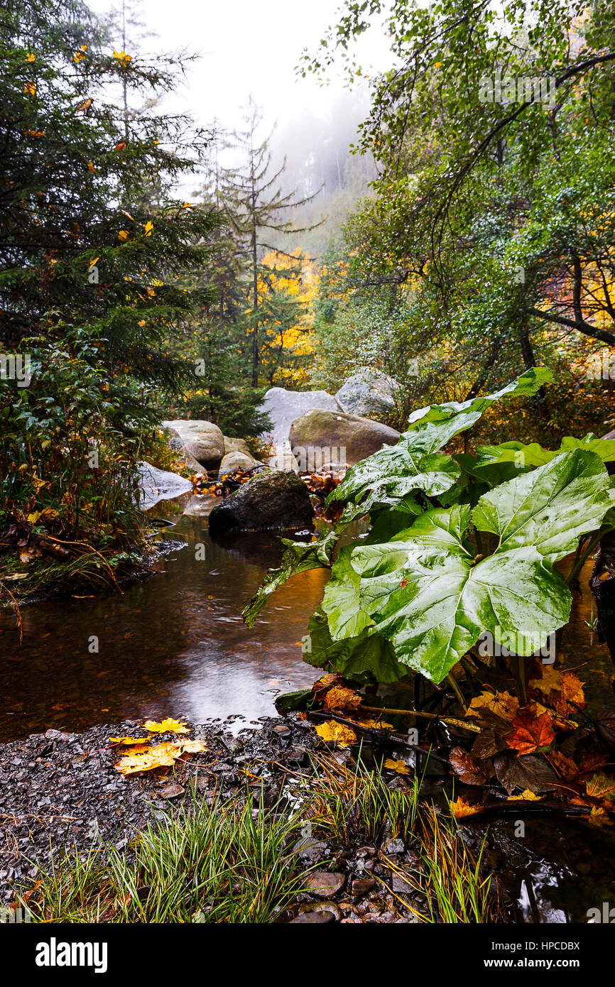 The Harz is the highest mountain range in Northern Germany and its rugged terrain extends across parts of Lower Saxony, Saxony-Anhalt, and Thuringia.  Stock Photo