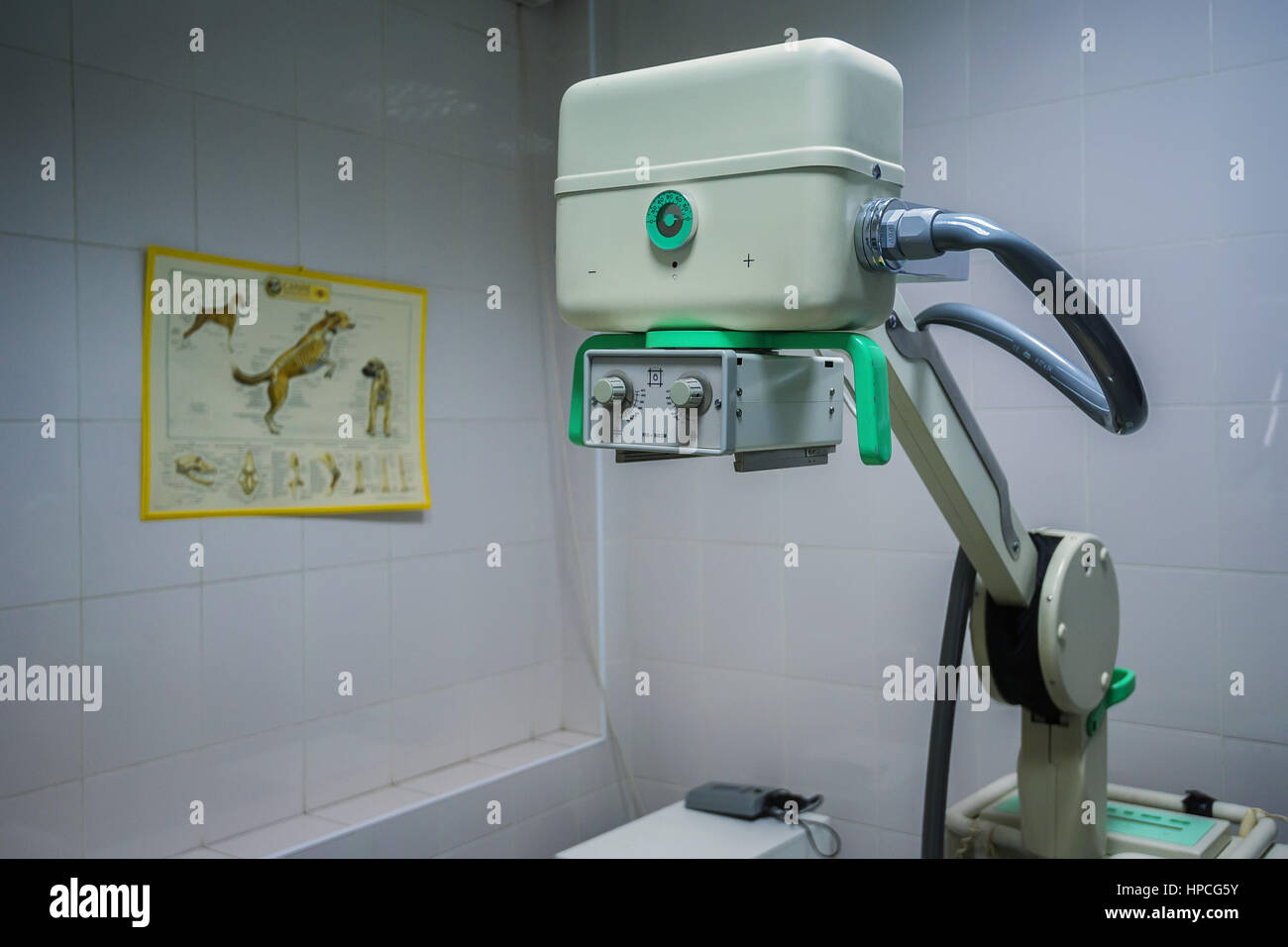 X-ray machine in veterinary hospital Stock Photo - Alamy