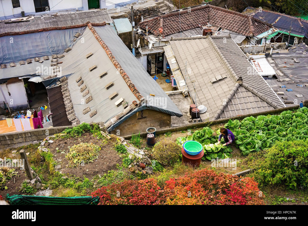 Residential area in Seoul with small farm Stock Photo