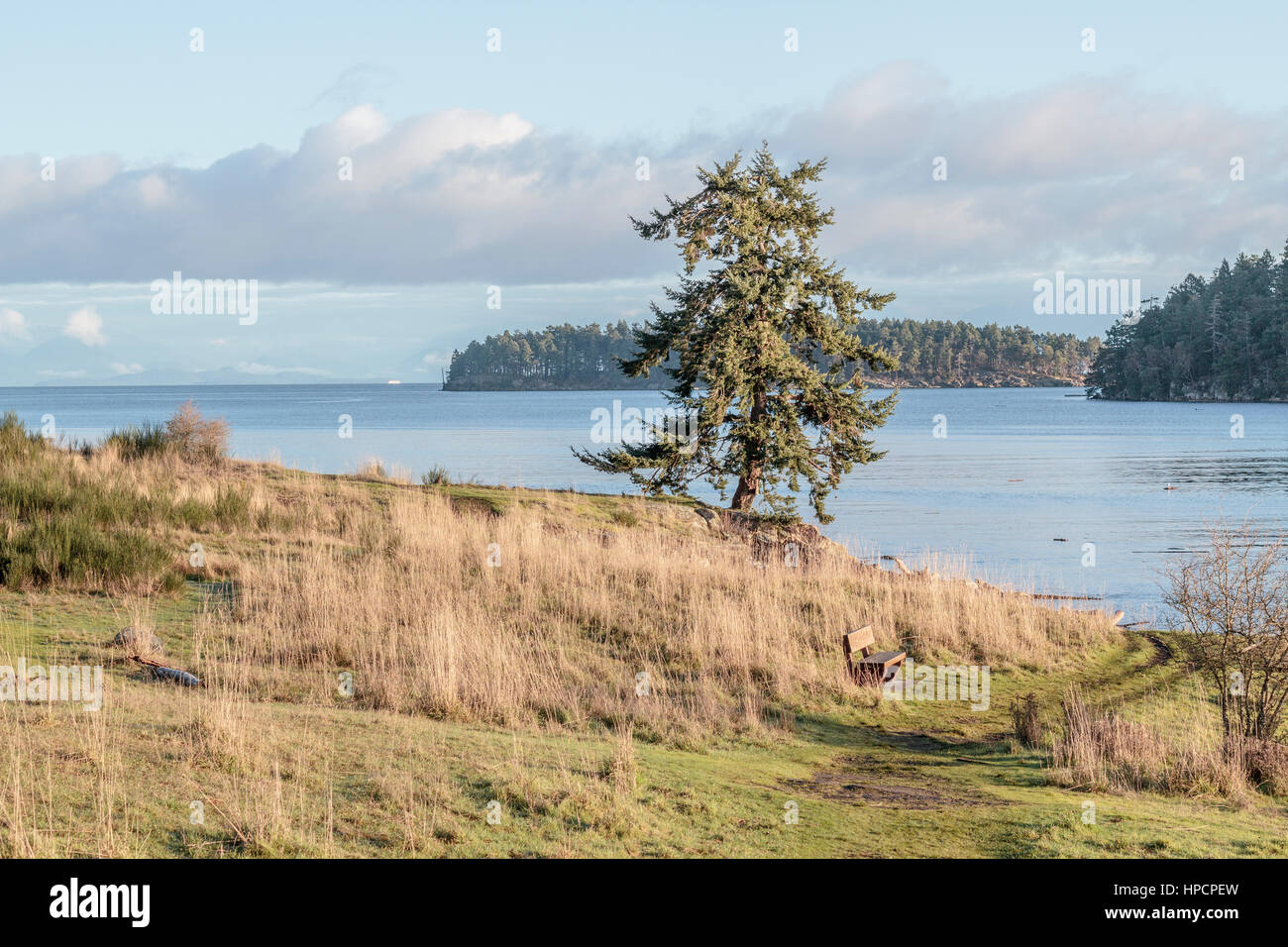 On a sunny winter day the park is deserted, with only a lone tree and bench overlooking the Strait of Georgia and Flat Top Islands (British Columbia). Stock Photo