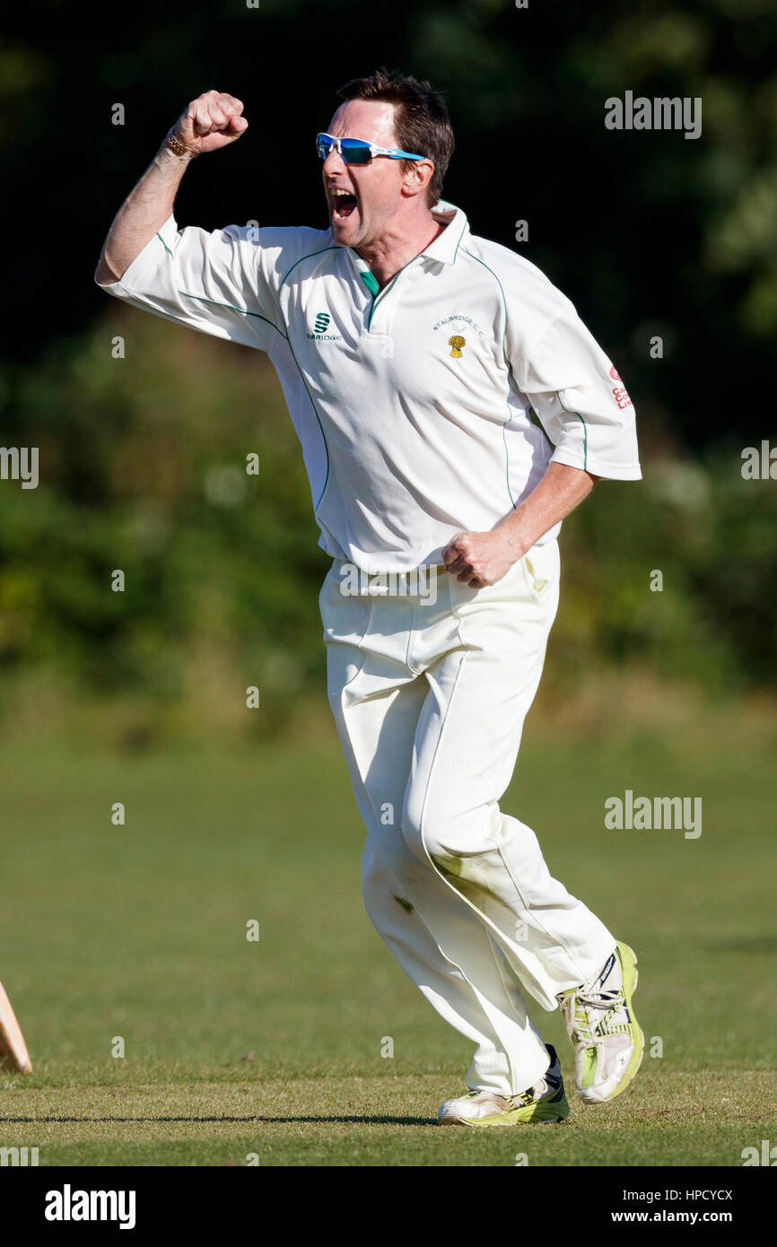 Marnhull CC 1st XI vs Stalbridge CC 2nd XI,  Saturday, 13, August, 2016 - Dorset - England. Bowler in action. Stock Photo