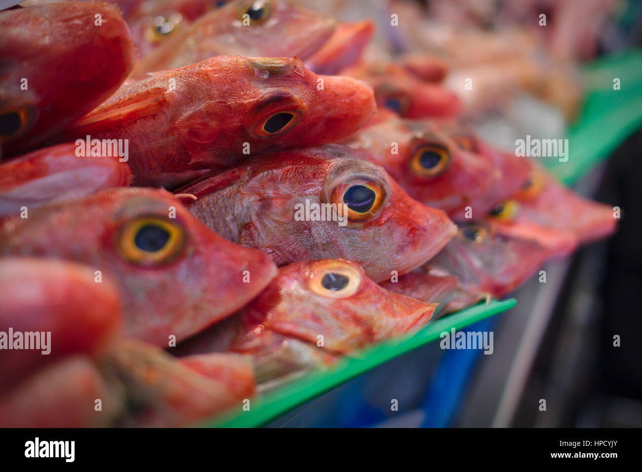 Fresh fish in the Tarragona market. Stock Photo
