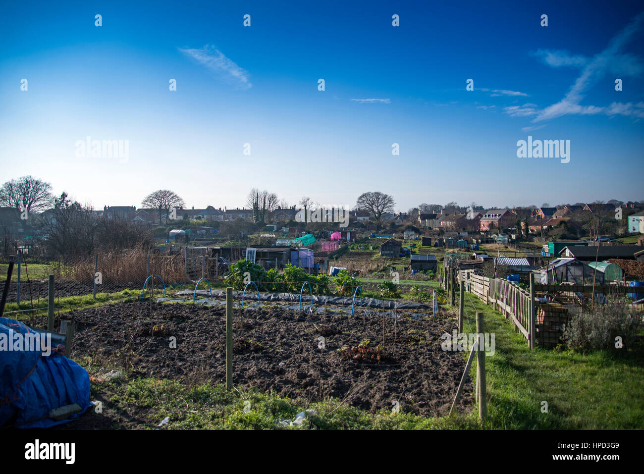 Allotment plan hi-res stock photography and images - Alamy
