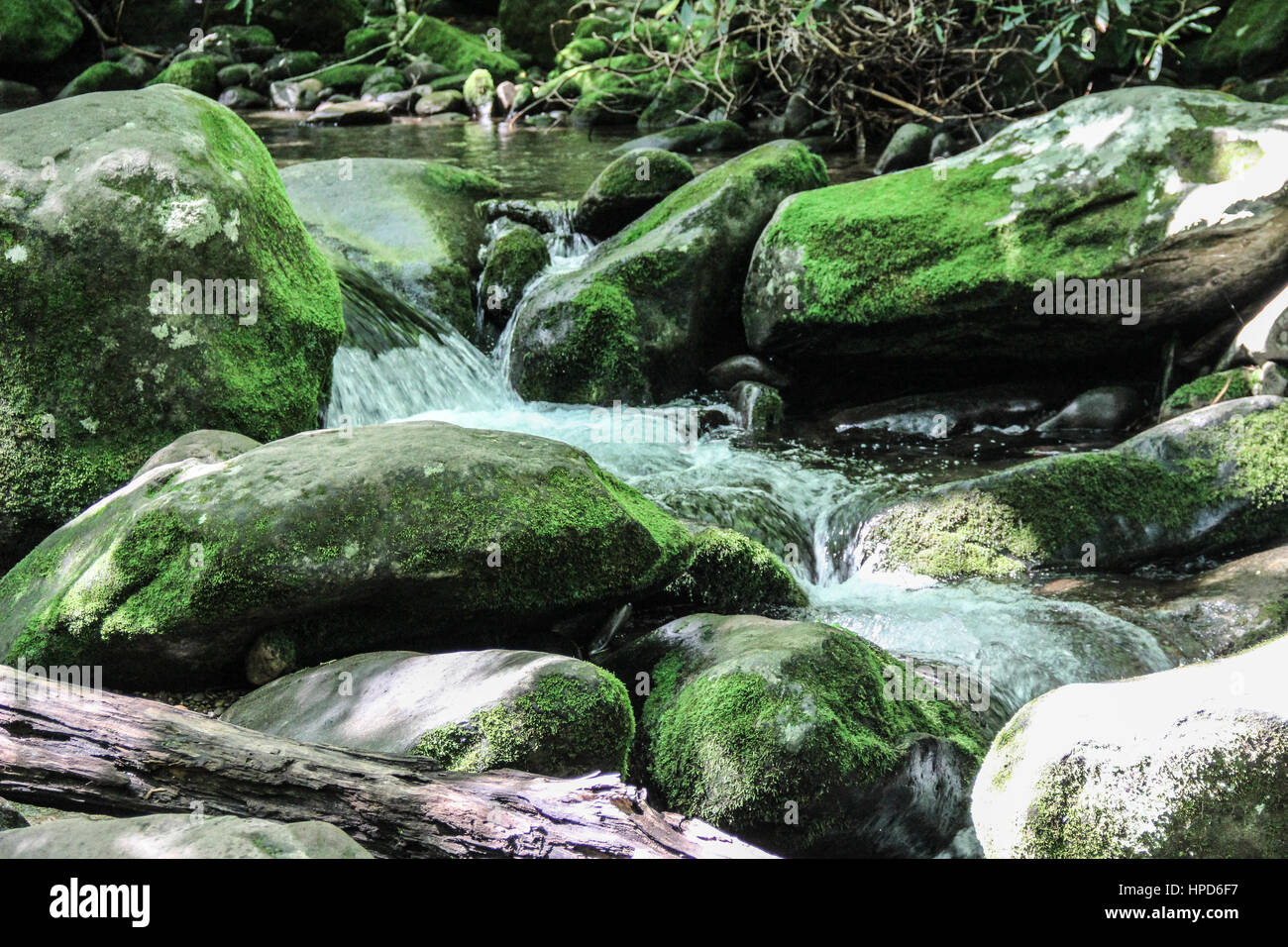 Mountain stream running over mossy rocks in Smoky Mountains National Park in Tennessee Stock Photo