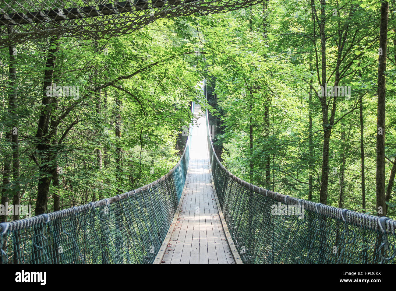 Suspension bridge at Foxfire Mountain Adventures in Tennessee Stock Photo