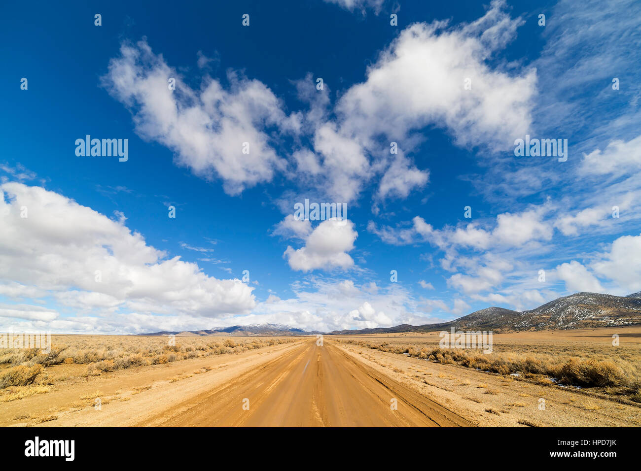 Dirt road in the Nevada desert under blue sky with clouds.  Road is wet dirt and mud. Stock Photo