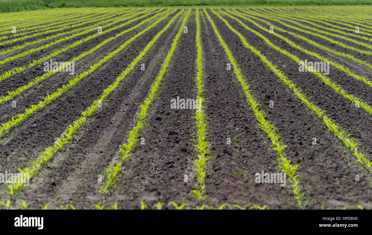 Agricultural symmetry hi-res stock photography and images - Alamy