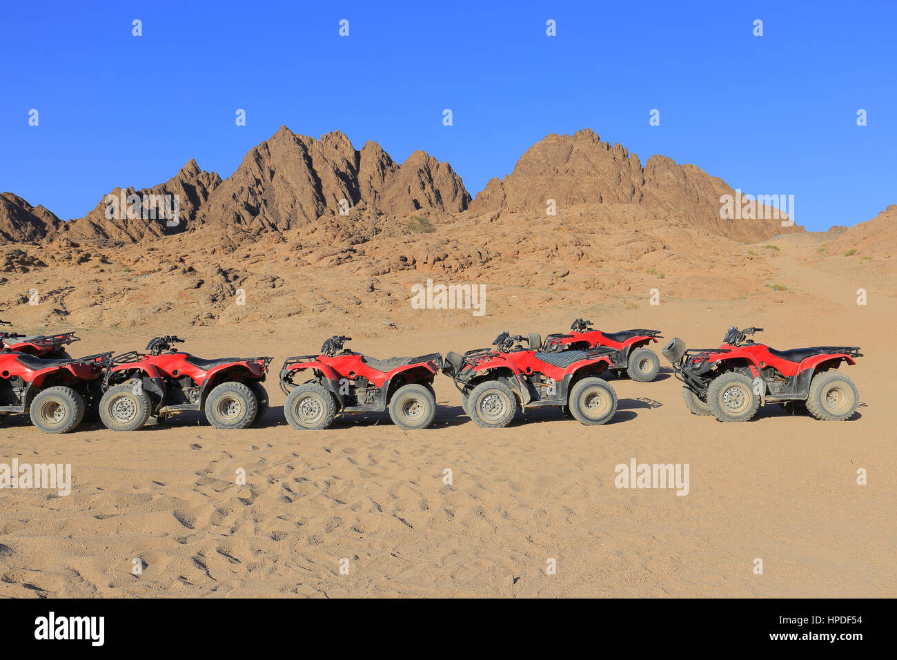 Quad bikes in the desert in Egypt Stock Photo Alamy