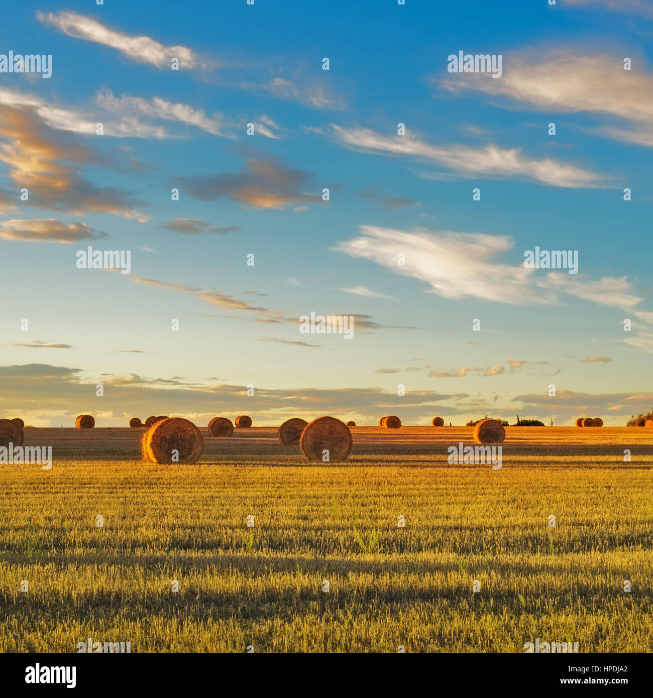 Hay rolls and harvested field at sunset. Tuscany, Italy Stock Photo
