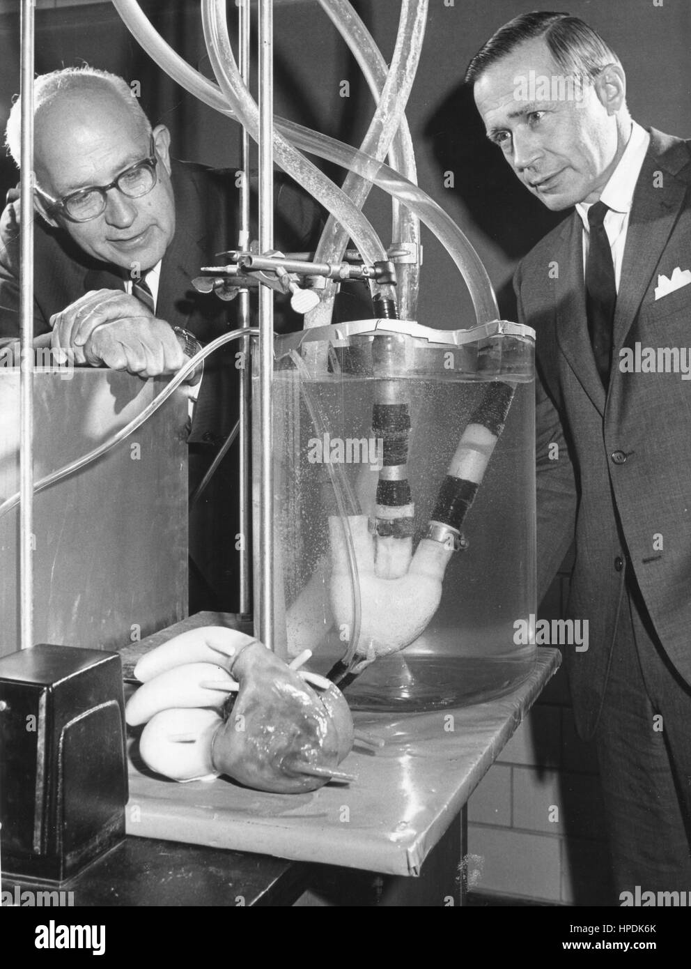 Prototype of the artificial heart developed by Dr Michael DeBakey (left) and his associate, Dr George C Morris, Jr (right), Akron, Ohio, 1966. Stock Photo