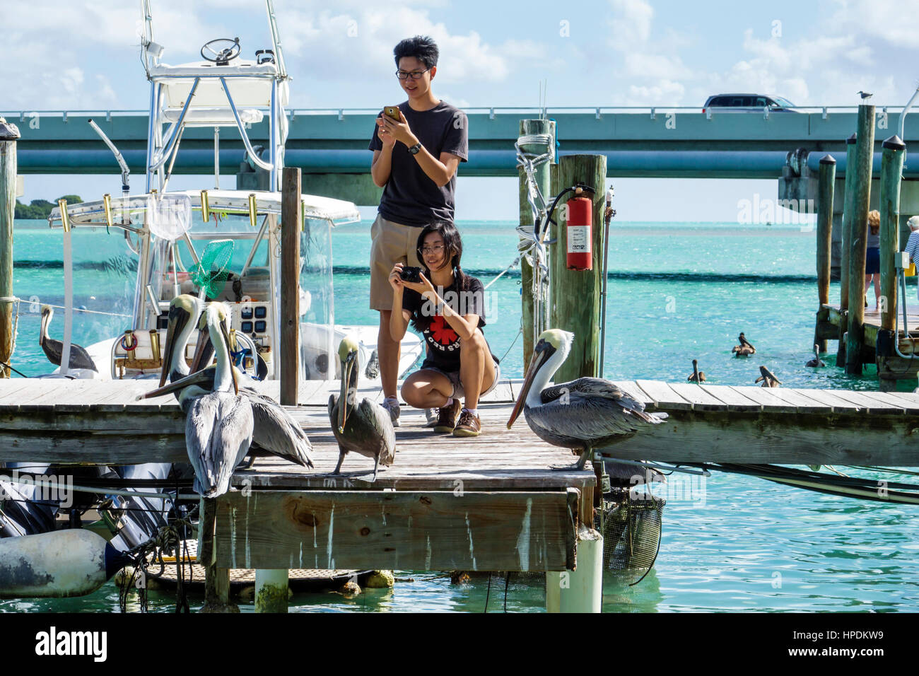 Islamorada Florida Upper Florida Keys Lower Matecumbe Key Robbie’s