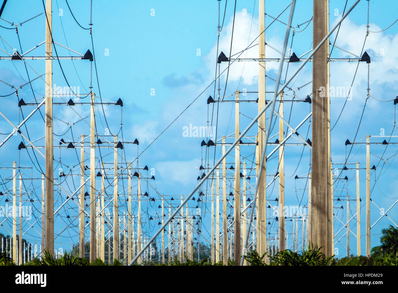 Miami Florida,utility poles,Florida Power & Light,FPL,from Turkey Point Nuclear Generating Station,FL161224040 Stock Photo
